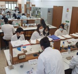 a group of people in laboratory gear, at their own desk, in the middle of doing a science experiment.