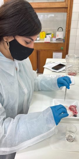 A women in laboratory outfit, in the process of doing an experiment