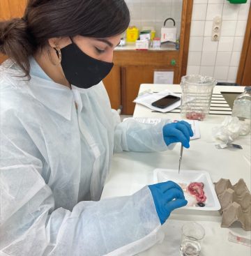 A women in laboratory outfit, in the process of doing an experiment